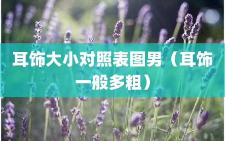 耳饰大小对照表图男（耳饰一般多粗）