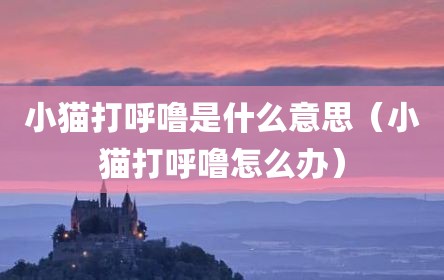 小猫打呼噜是什么意思（小猫打呼噜怎么办）