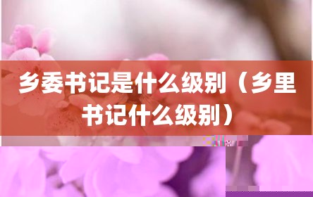 乡委书记是什么级别（乡里书记什么级别）