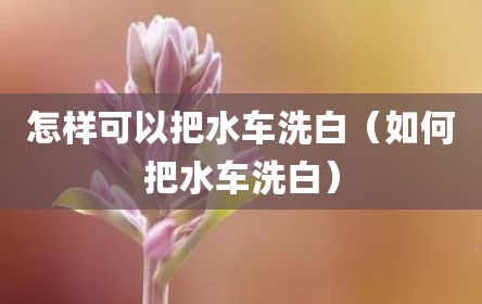 怎样可以把水车洗白（如何把水车洗白）