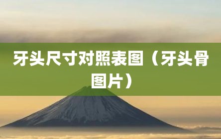 牙头尺寸对照表图（牙头骨图片）
