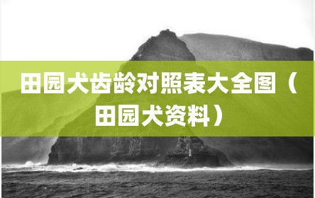 田园犬齿龄对照表大全图（田园犬资料）