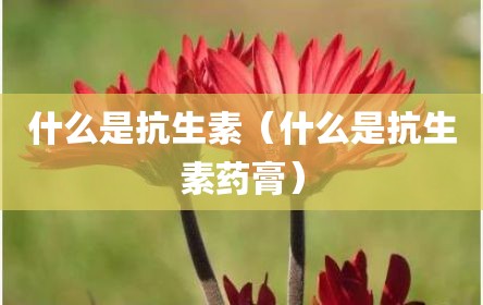 什么是抗生素（什么是抗生素药膏）