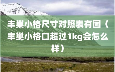 丰巢小格尺寸对照表有图（丰巢小格口超过1kg会怎么样）