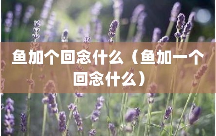 鱼加个回念什么（鱼加一个回念什么）