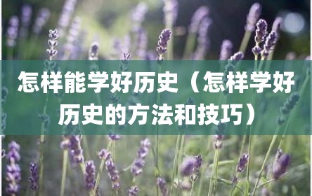 怎样能学好历史（怎样学好历史的方法和技巧）