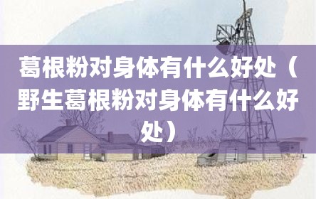 葛根粉对身体有什么好处（野生葛根粉对身体有什么好处）