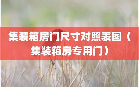 集装箱房门尺寸对照表图（集装箱房专用门）