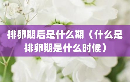 排卵期后是什么期（什么是排卵期是什么时候）