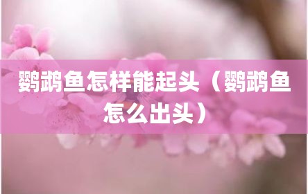 鹦鹉鱼怎样能起头（鹦鹉鱼怎么出头）