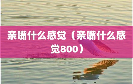 亲嘴什么感觉（亲嘴什么感觉800）