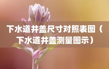 下水道井盖尺寸对照表图（下水道井盖测量图示）