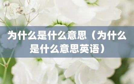 为什么是什么意思（为什么是什么意思英语）