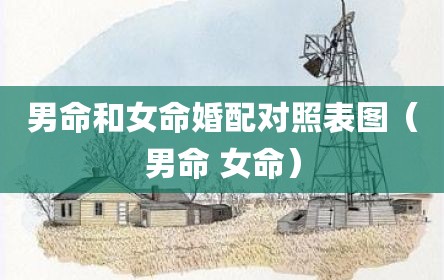 男命和女命婚配对照表图（男命 女命）