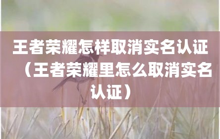 王者荣耀怎样取消实名认证（王者荣耀里怎么取消实名认证）