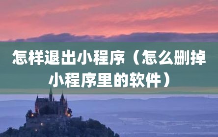 怎样退出小程序（怎么删掉小程序里的软件）