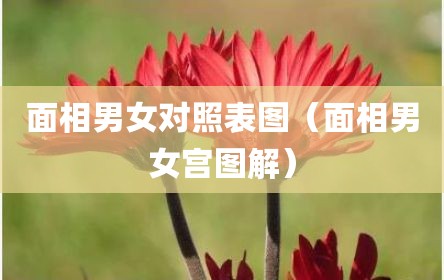 面相男女对照表图（面相男女宫图解）