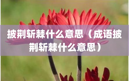披荆斩棘什么意思（成语披荆斩棘什么意思）