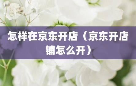 怎样在京东开店（京东开店铺怎么开）
