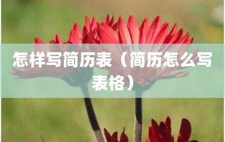 怎样写简历表（简历怎么写表格）
