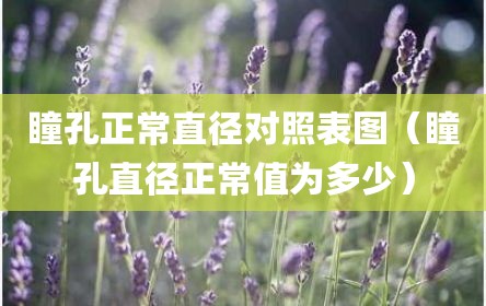 瞳孔正常直径对照表图（瞳孔直径正常值为多少）