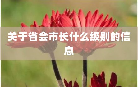 关于省会市长什么级别的信息