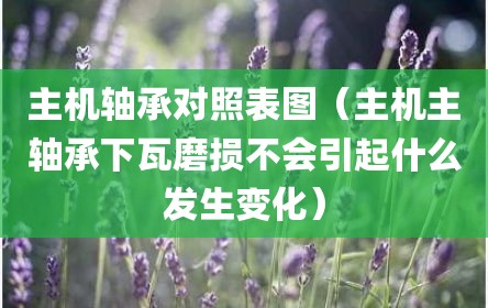 主机轴承对照表图（主机主轴承下瓦磨损不会引起什么发生变化）