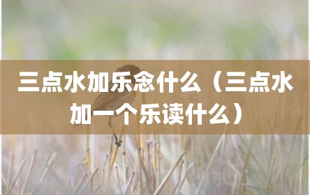 三点水加乐念什么（三点水加一个乐读什么）