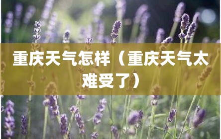 重庆天气怎样（重庆天气太难受了）