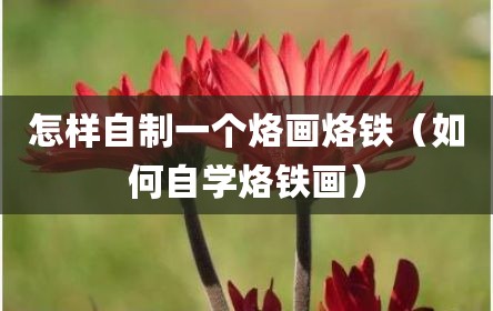 怎样自制一个烙画烙铁（如何自学烙铁画）