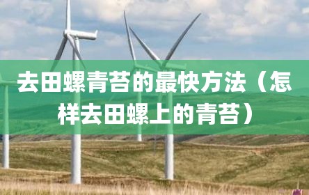 去田螺青苔的最快方法（怎样去田螺上的青苔）