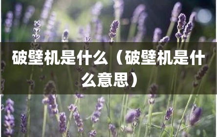 破壁机是什么（破壁机是什么意思）