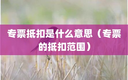专票抵扣是什么意思（专票的抵扣范围）