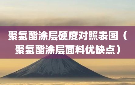 聚氨酯涂层硬度对照表图（聚氨酯涂层面料优缺点）