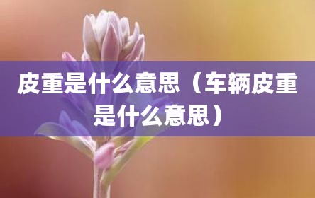 皮重是什么意思（车辆皮重是什么意思）