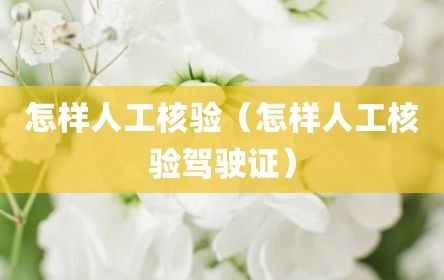 怎样人工核验（怎样人工核验驾驶证）