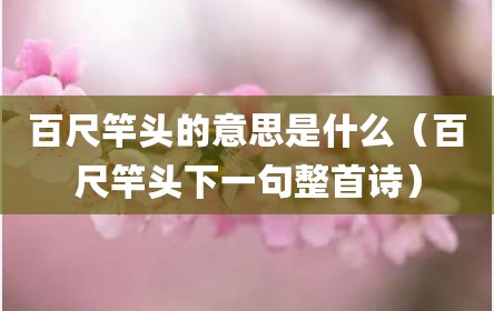 百尺竿头的意思是什么（百尺竿头下一句整首诗）