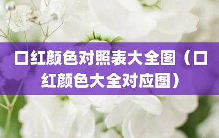 口红颜色对照表大全图（口红颜色大全对应图）
