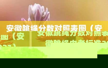 安徽跳绳分数对照表图（安徽跳绳中考标准2021）