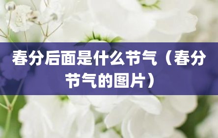 春分后面是什么节气（春分节气的图片）