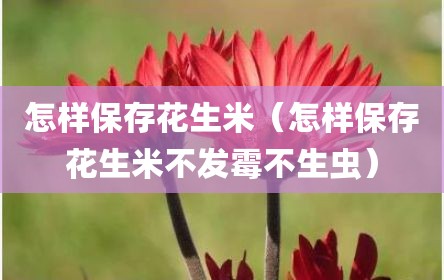 怎样保存花生米（怎样保存花生米不发霉不生虫）