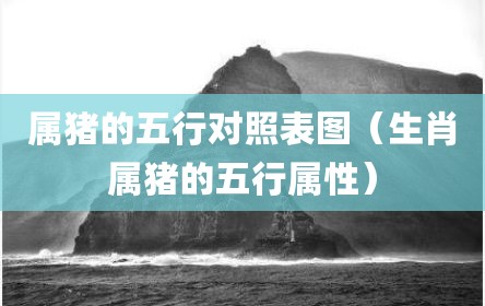 属猪的五行对照表图（生肖属猪的五行属性）