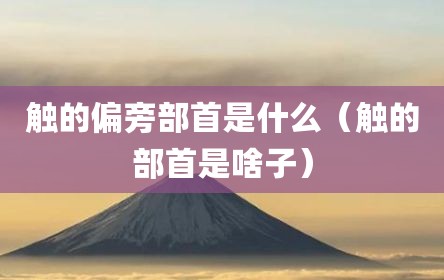 触的偏旁部首是什么（触的部首是啥子）