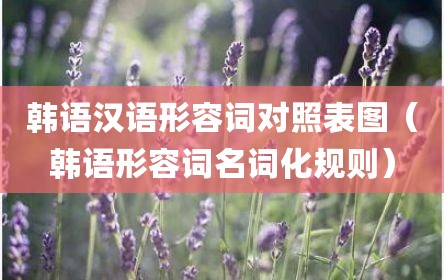韩语汉语形容词对照表图（韩语形容词名词化规则）