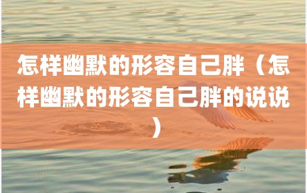 怎样幽默的形容自己胖（怎样幽默的形容自己胖的说说）