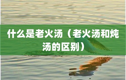 什么是老火汤（老火汤和炖汤的区别）