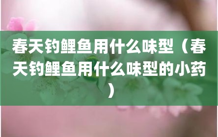 春天钓鲤鱼用什么味型（春天钓鲤鱼用什么味型的小药）
