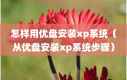 怎样用优盘安装xp系统（从优盘安装xp系统步骤）