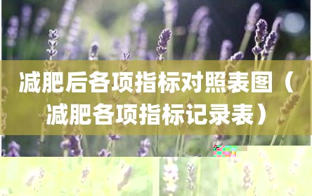 减肥后各项指标对照表图（减肥各项指标记录表）