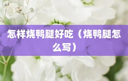 怎样烧鸭腿好吃（烧鸭腿怎么写）